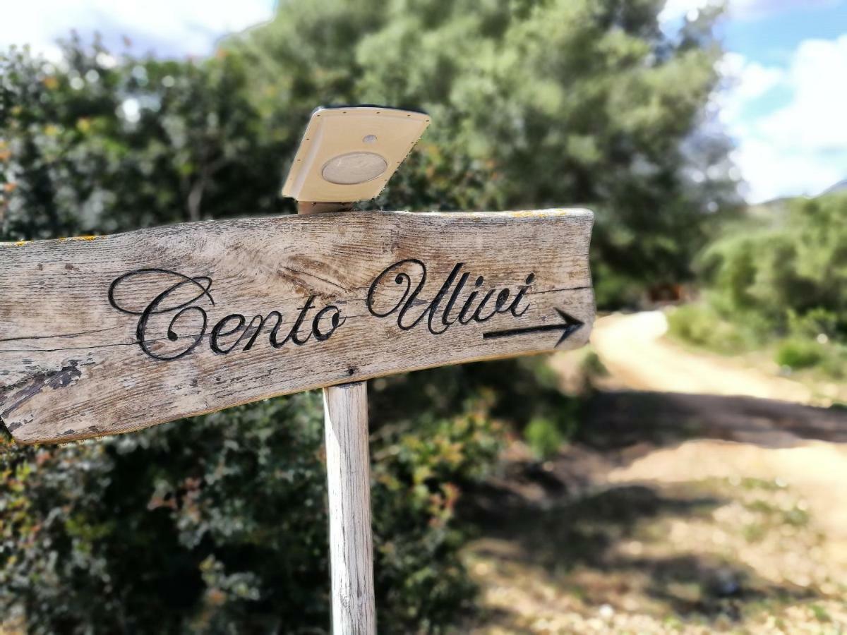 Cento Ulivi B&B Гольфо-Аранчи Экстерьер фото